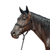 Cashel |  Flat Braid Halter w/ 9' Lead