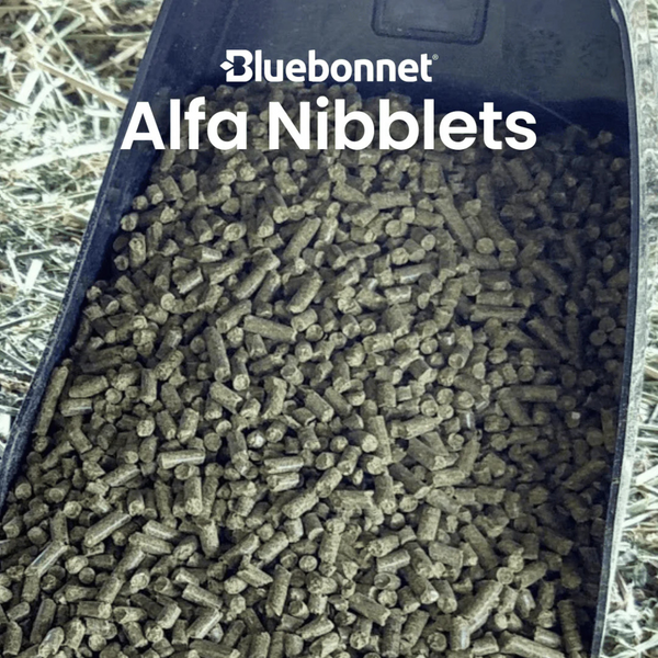 Bluebonnet Feeds | Alfalfa Nibblets