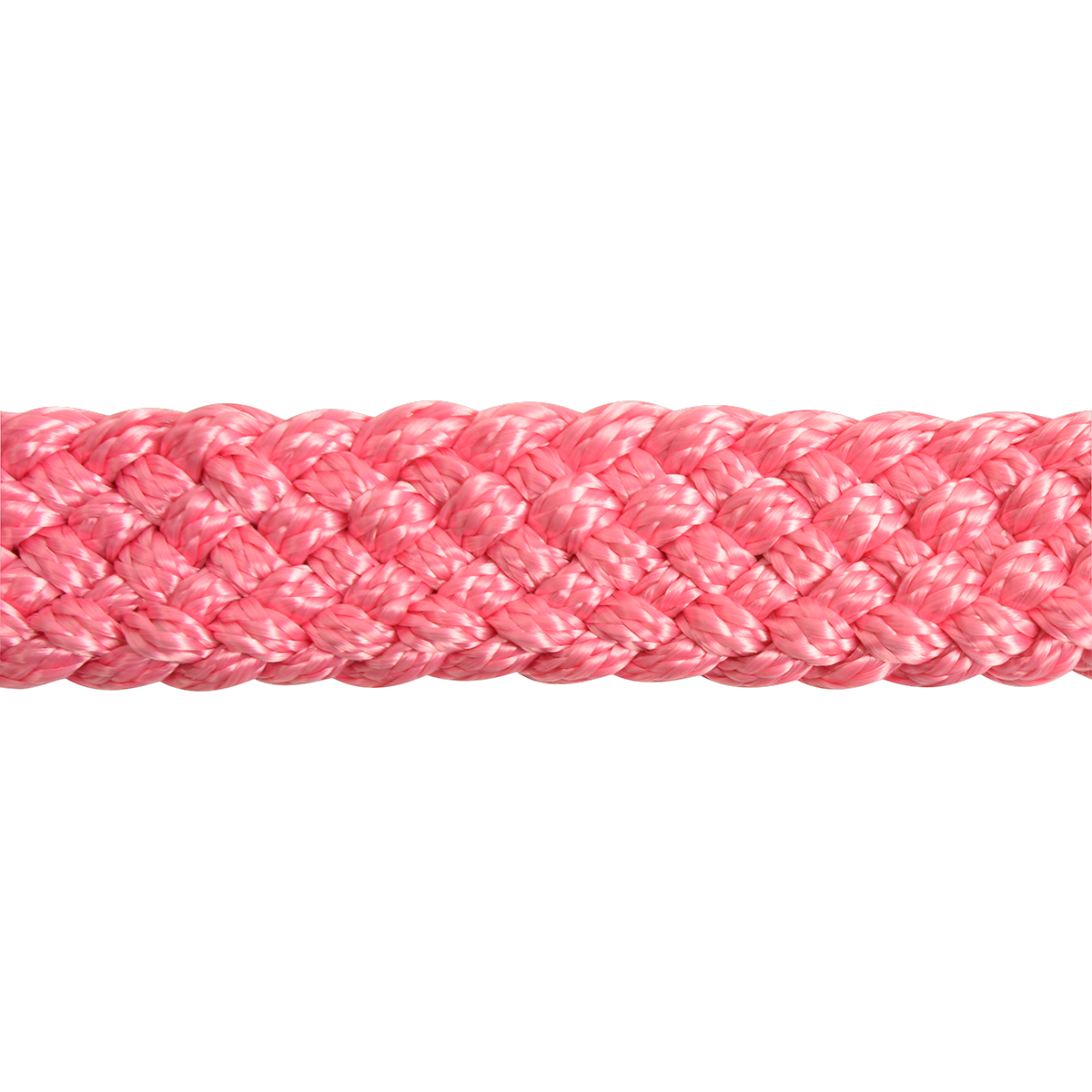 Cashel |  Flat Braid Halter w/ 9' Lead