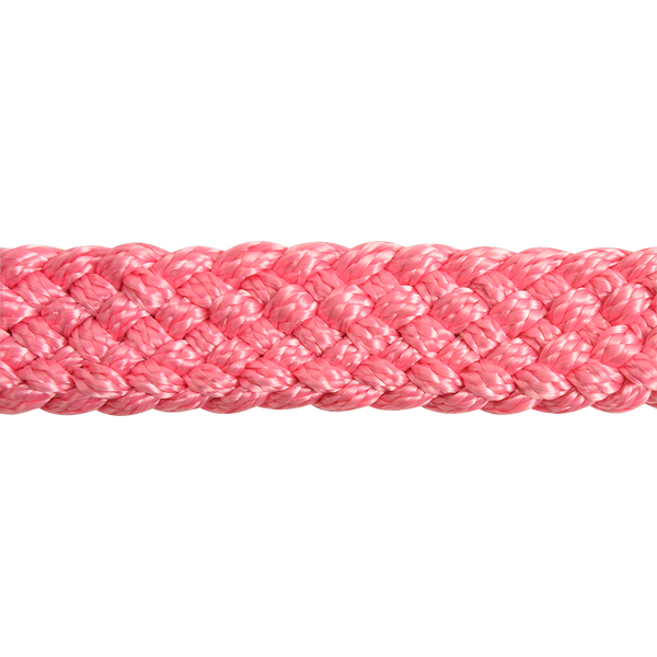 Cashel |  Flat Braid Halter w/ 9' Lead