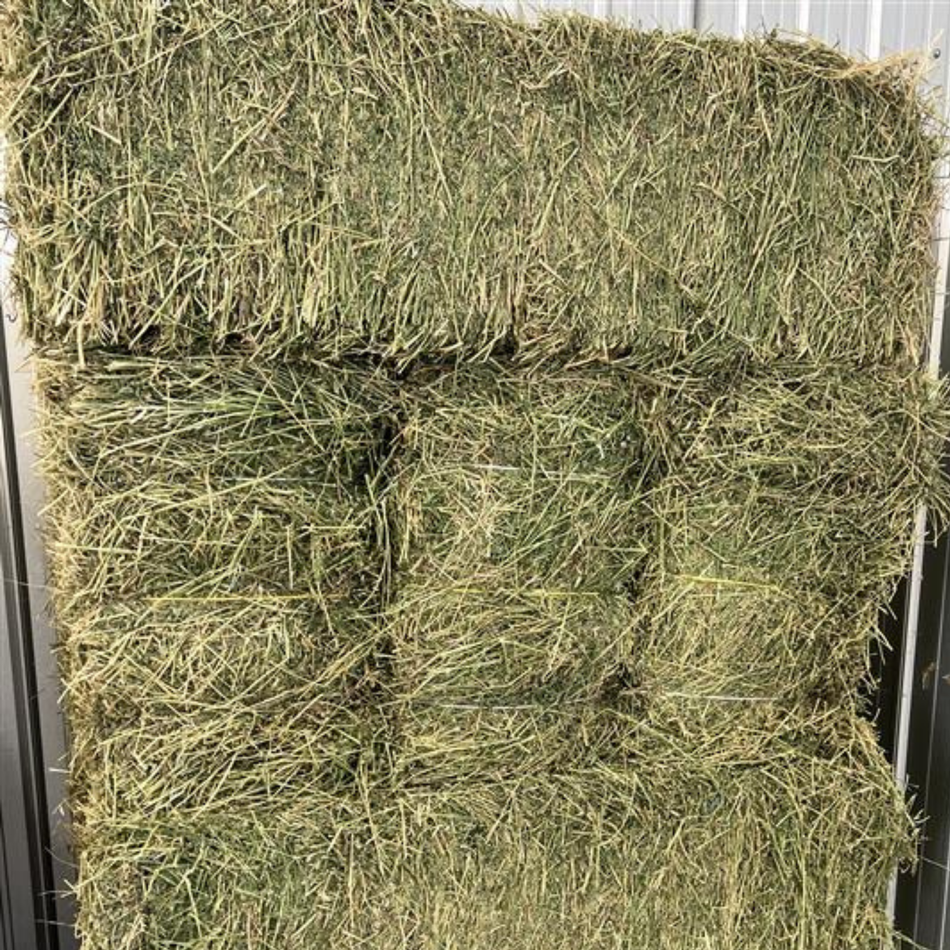 3 String Alfalfa Hay