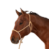 Classic Equine | Halter w/Lead | Rope Nose