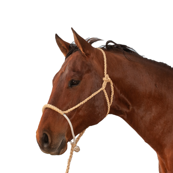 Classic Equine | Halter w/Lead | Rope Nose