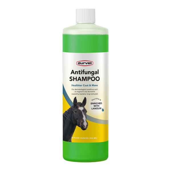 Durvet Antifungal Equine Shampoo | 32 OZ