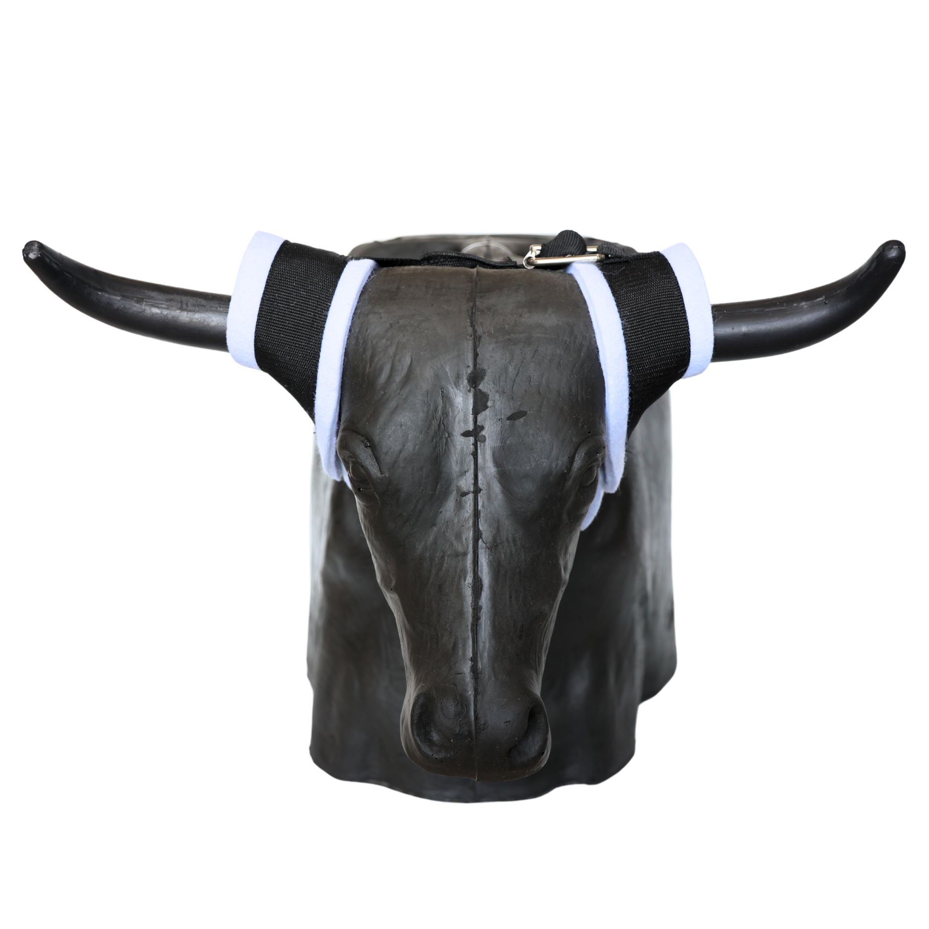 Smarty Rodeo | Bones 2.0