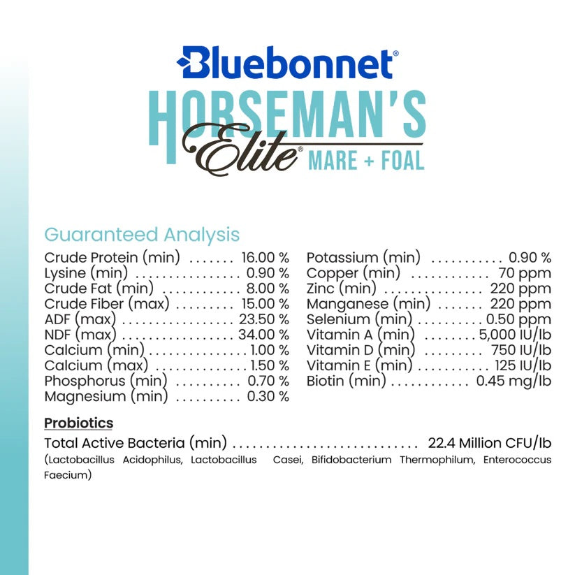 Bluebonnet Feeds | Horseman's Elite Mare & Foal