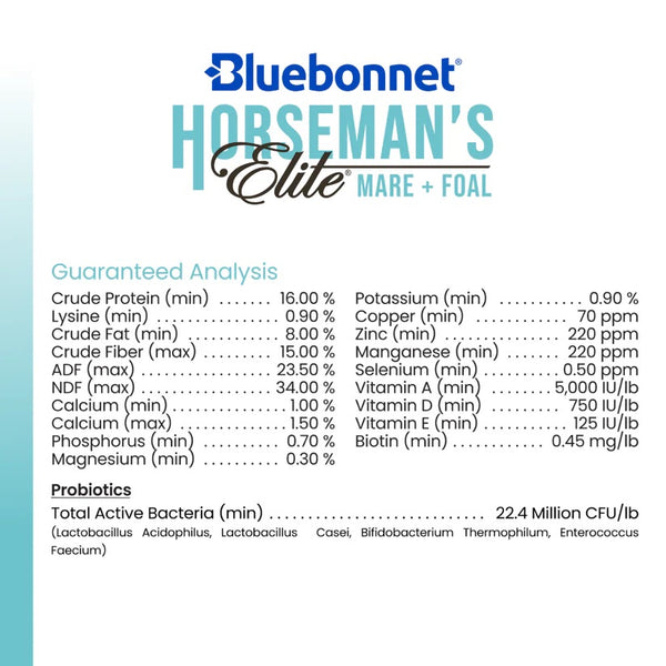 Bluebonnet Feeds | Horseman's Elite Mare & Foal