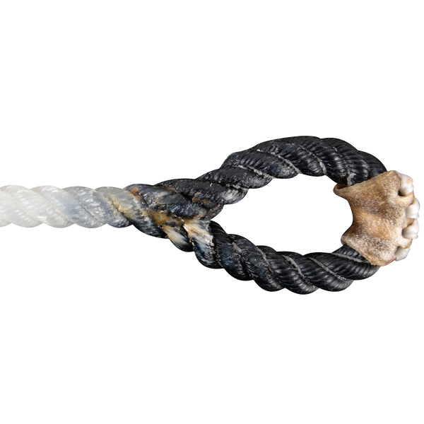 Rattler | Racer Calf String | 1/4" Full | Black Eye