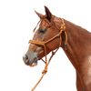 Cashel |  Flat Braid Halter w/ 9' Lead