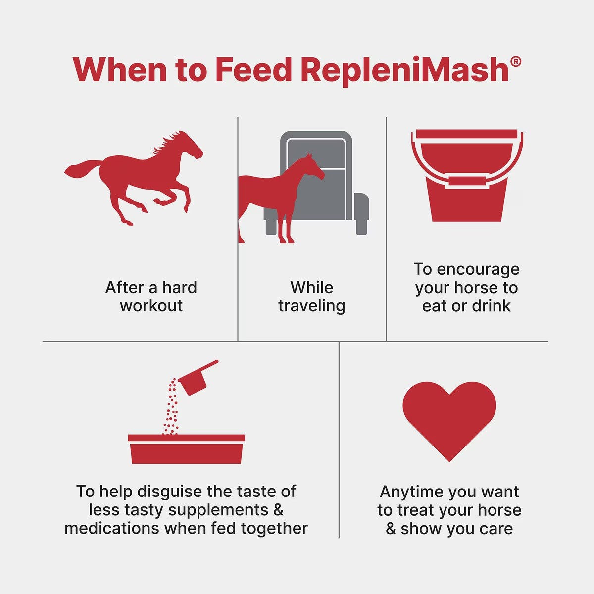 Purina | RepleniMash | 7 lb