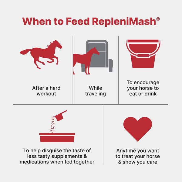 Purina | RepleniMash | 7 lb