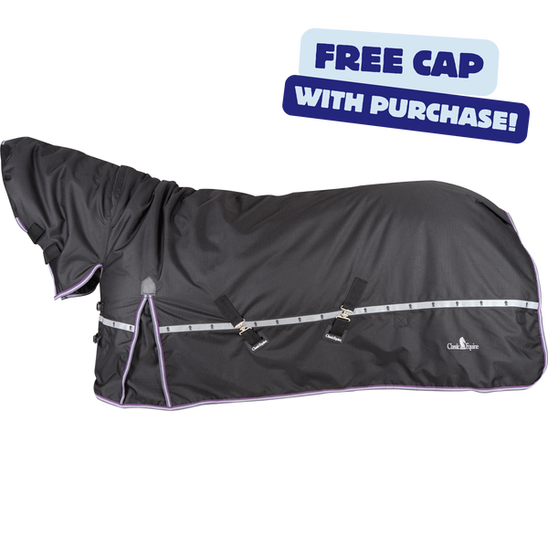 Classic Equine | 10K Cross Trainer Winter Blanket | Hooded