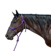 Cashel |  Flat Braid Halter w/ 9' Lead