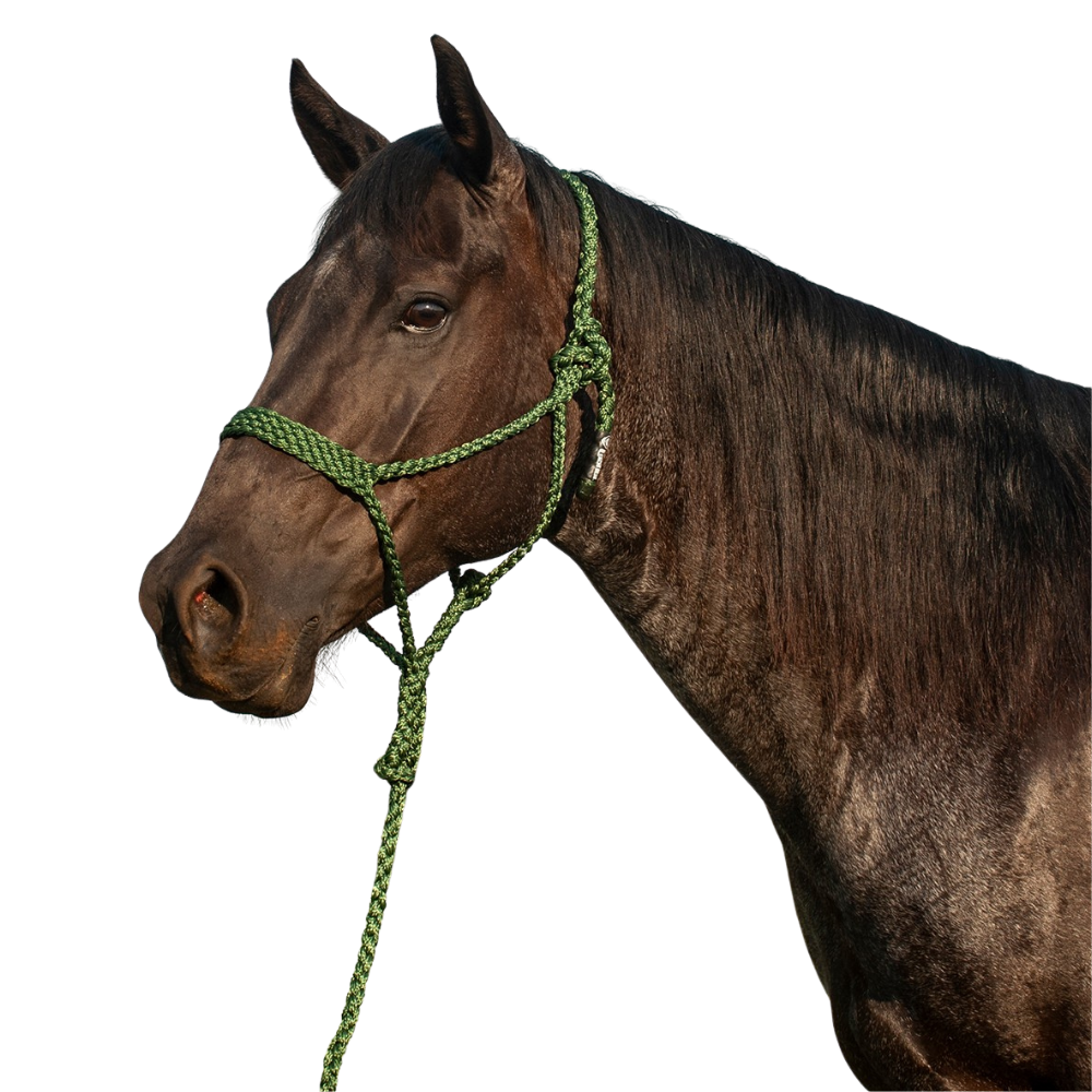 Cashel |  Flat Braid Halter w/ 9' Lead