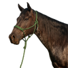 Cashel |  Flat Braid Halter w/ 9' Lead