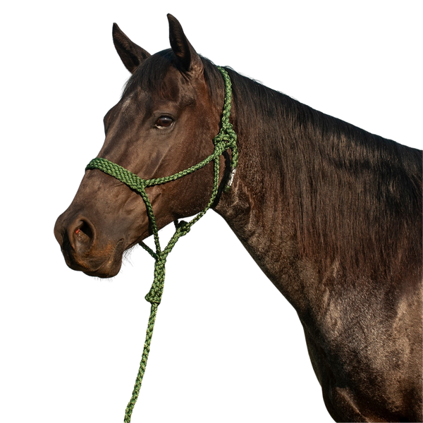 Cashel |  Flat Braid Halter w/ 9' Lead