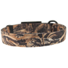 Leather Brothers | Realtree MAX 5 Dog Collar