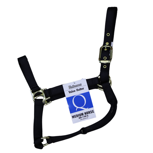 Economy Halter | Adult