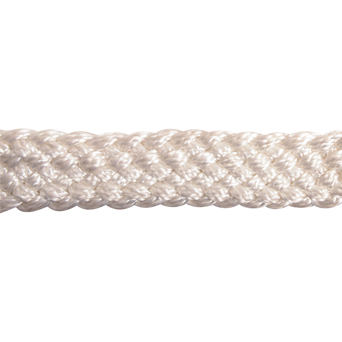 Cashel |  Flat Braid Halter w/ 9' Lead