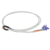 Rattler | Racer Calf String | 1/4" Full | Black Eye