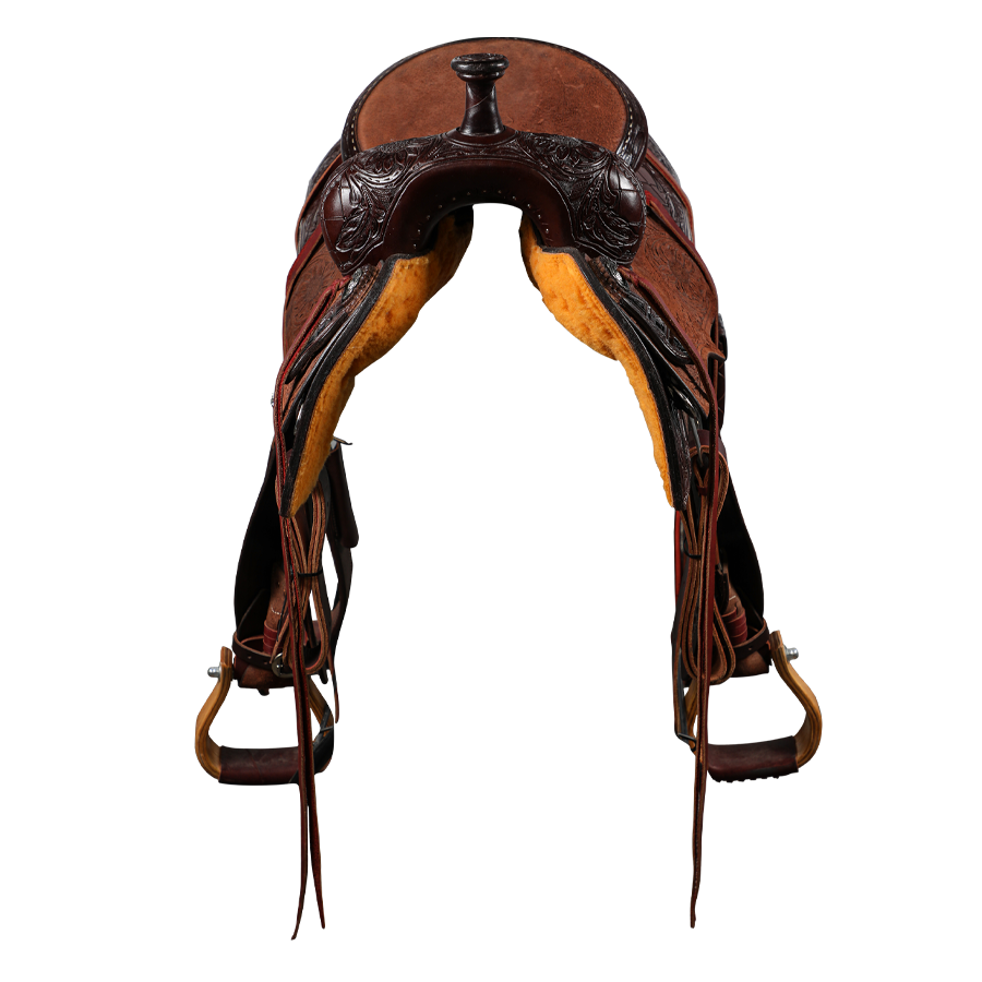 Economy Halter | Yearling