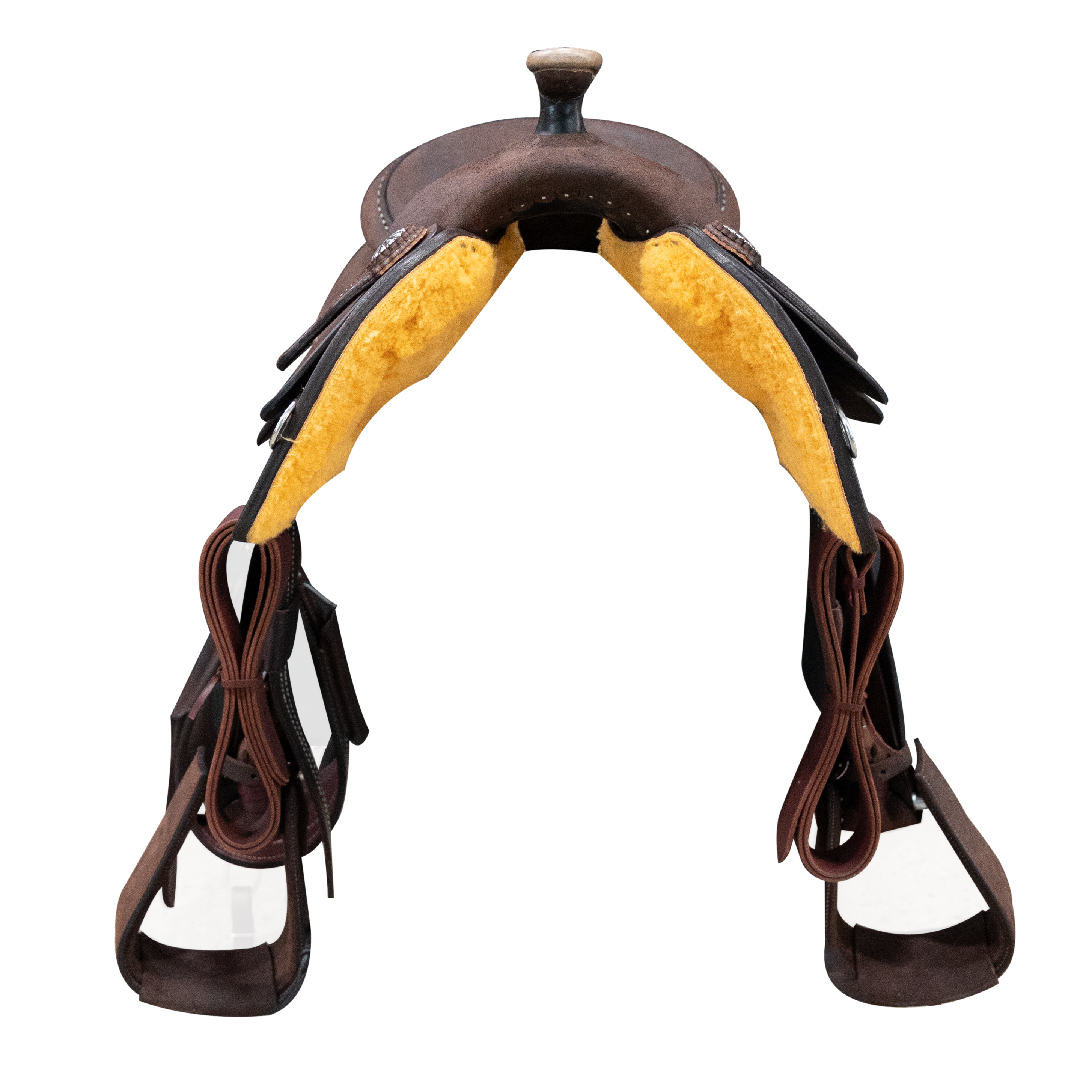 Economy Halter | Yearling