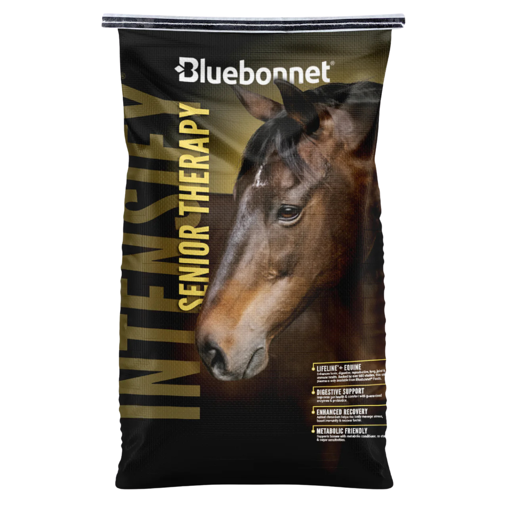 Bluebonnet Feeds | Intensify Senior Therapy