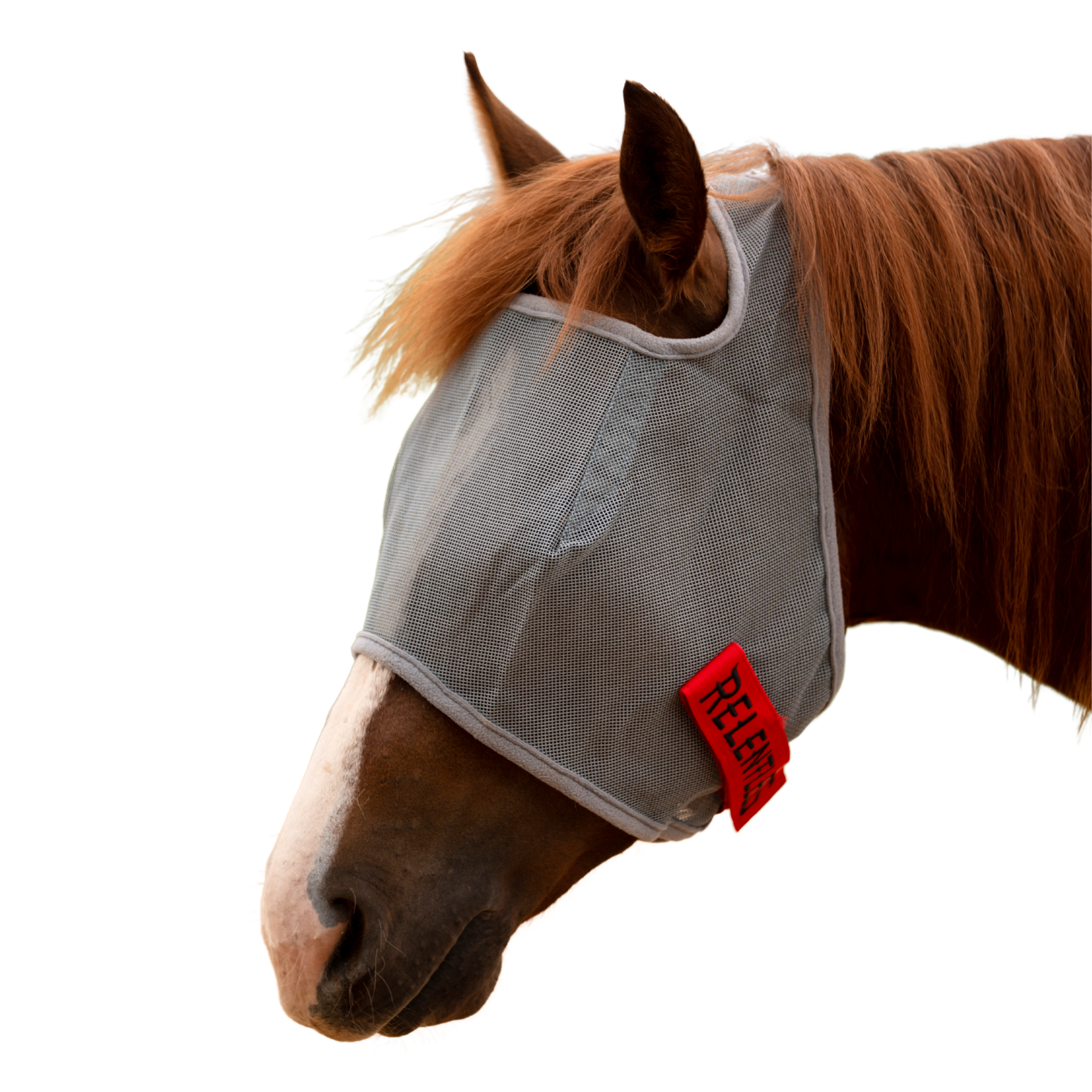 Cactus | Relentless Fly Mask