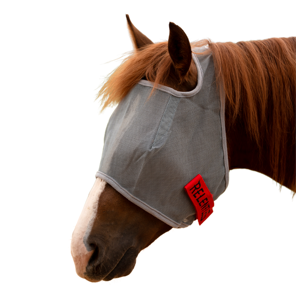 Cactus | Relentless Fly Mask