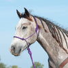 Classic Equine | Rope Halter with 9' Lead