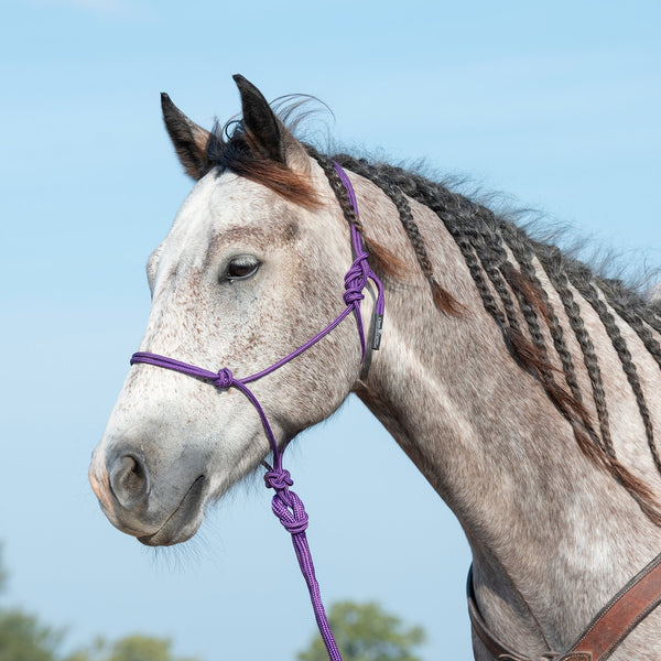 Classic Equine | Rope Halter with 9' Lead
