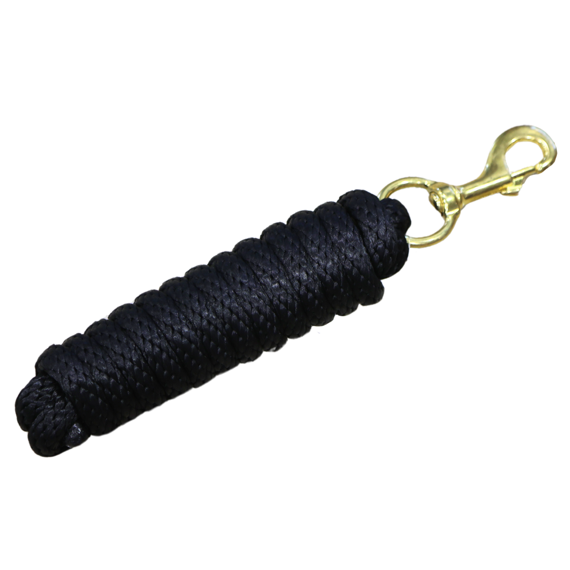 Poly Lead Rope with Brass Snap | 10'