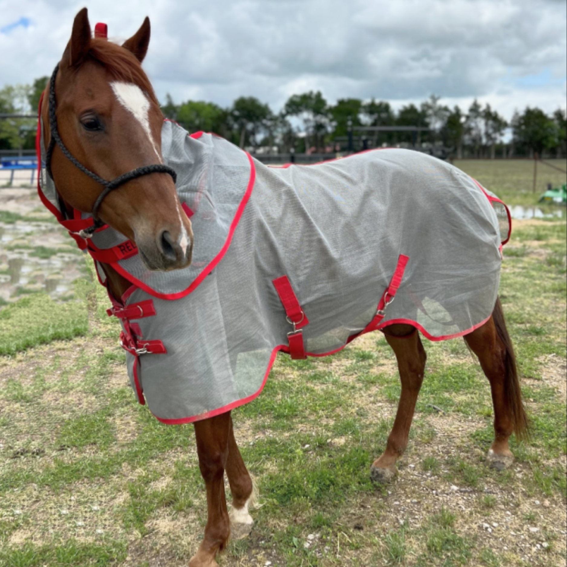 Cactus | Relentless Fly Sheet with Neck Cover