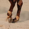Classic Equine | Pro Leather | Skid Boots