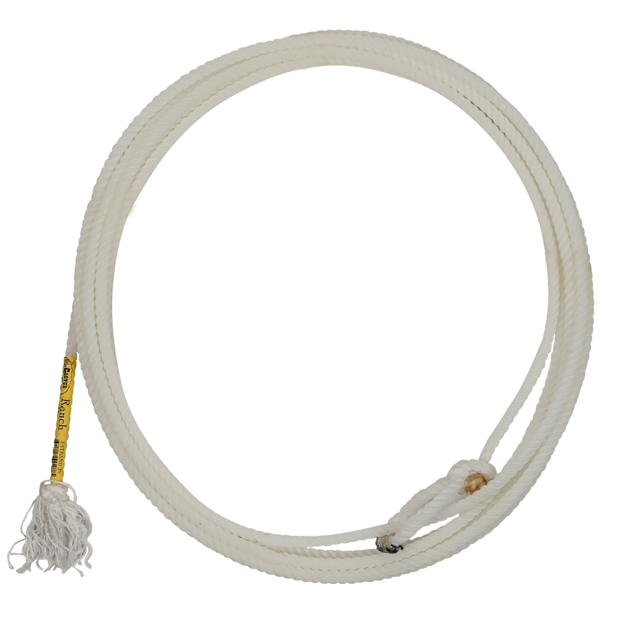 Cactus | Peacemaker | Heel Rope