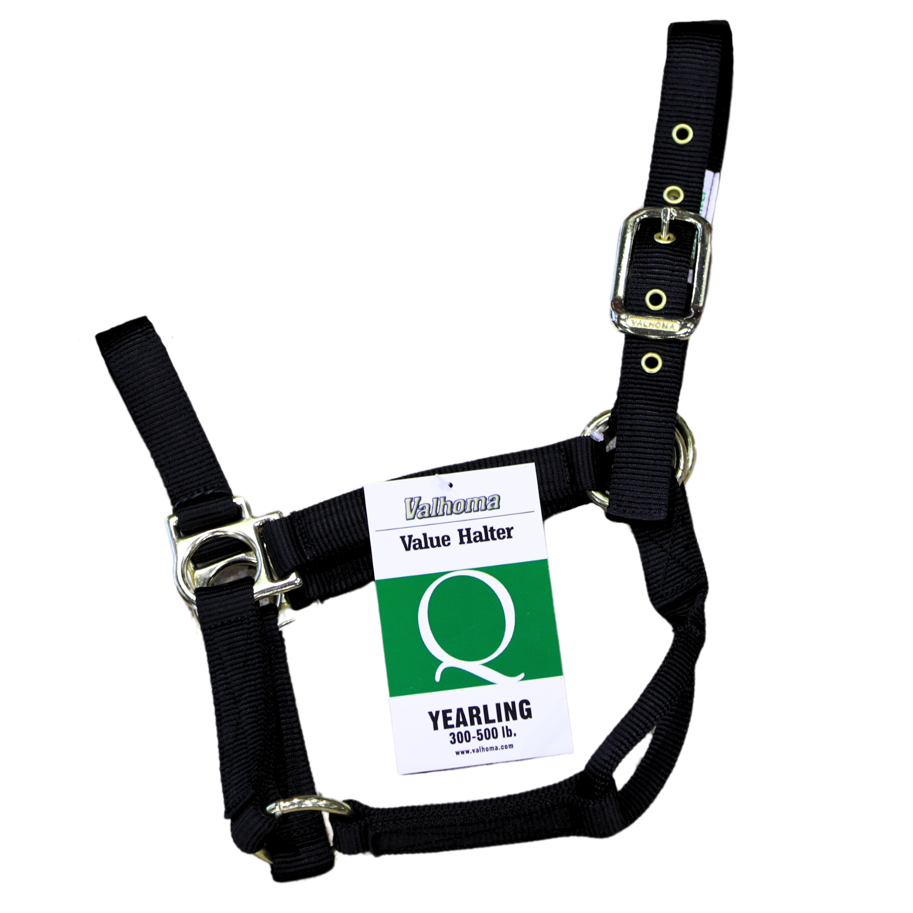 Economy Halter | Yearling