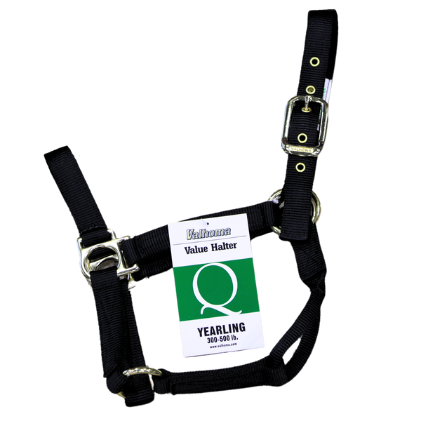 Economy Halter | Yearling