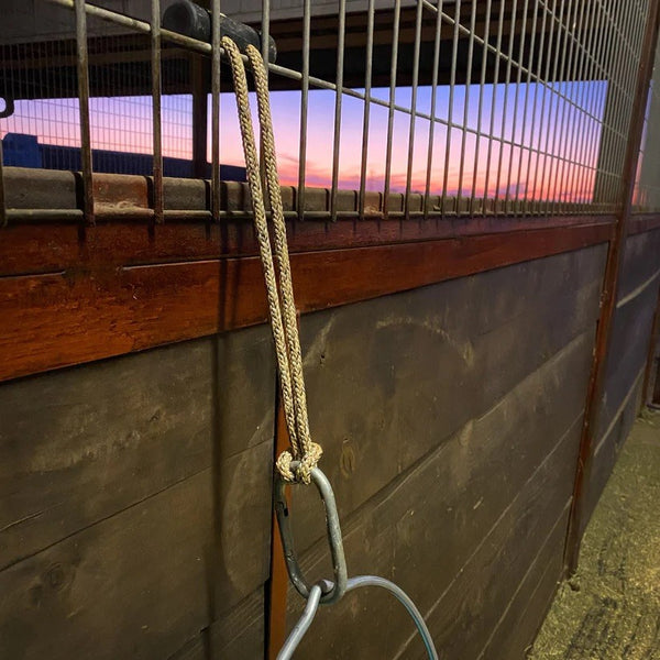 Hay Chix | Bucket Strap