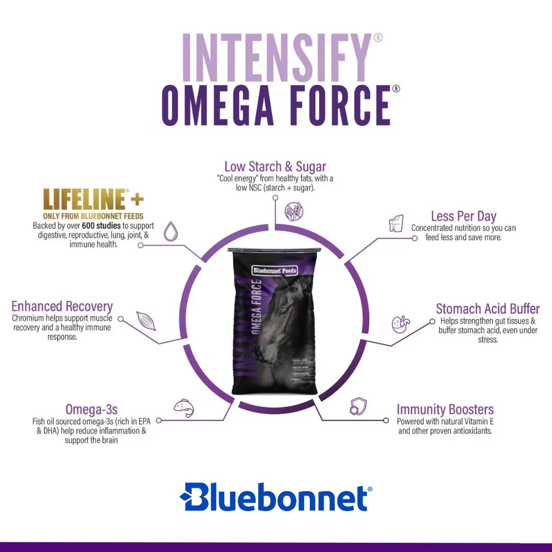 Bluebonnet Feeds | Intensify Omega Force