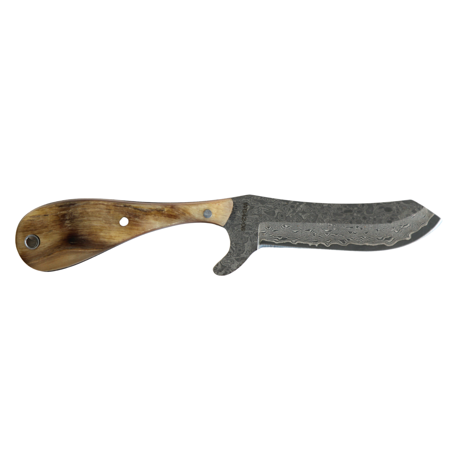 Rusted Nail Knives | Ram Horn | Ram Horn Damascus Bullcutter Knife