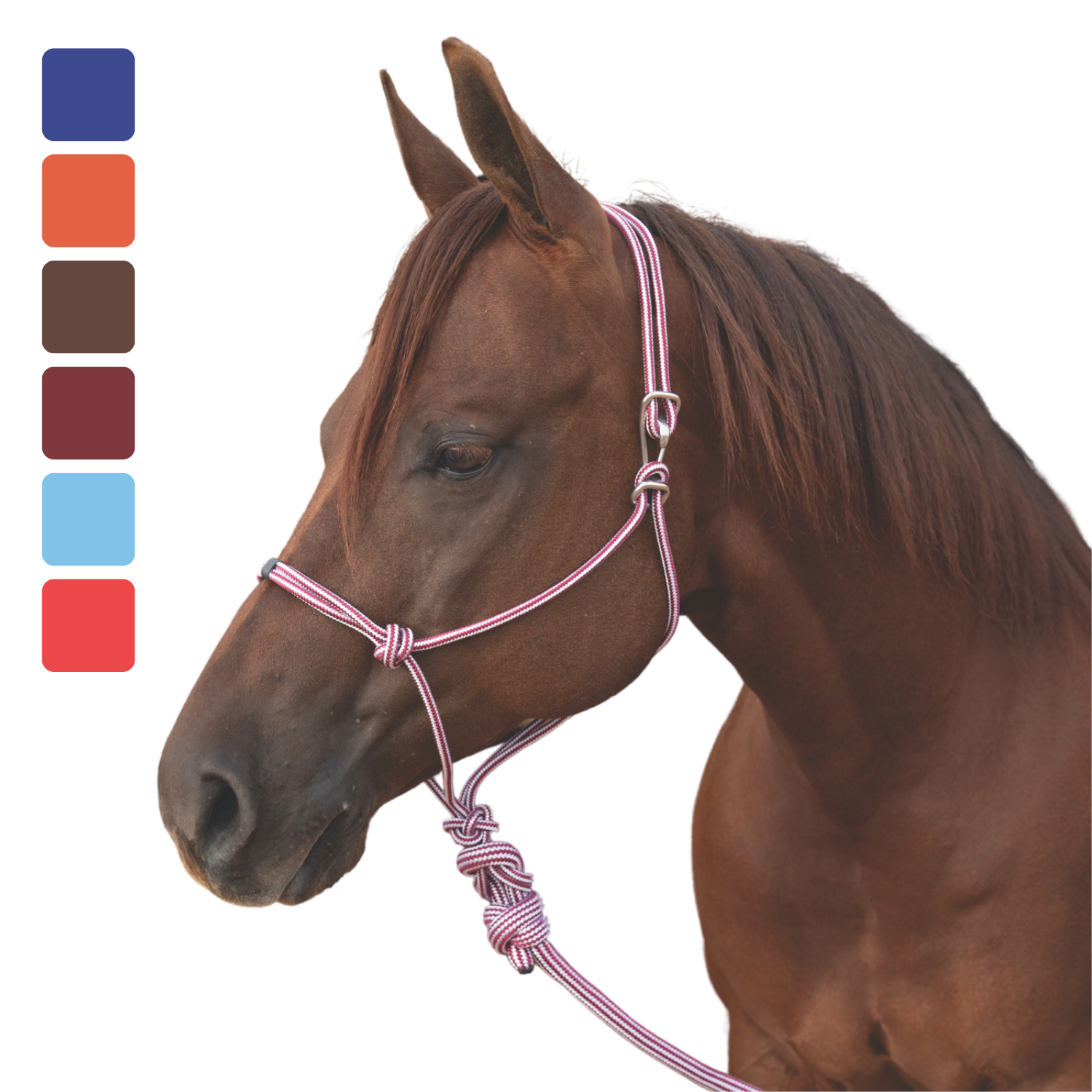 Professional's Choice | Easy-On Rope Halter w/ Lead