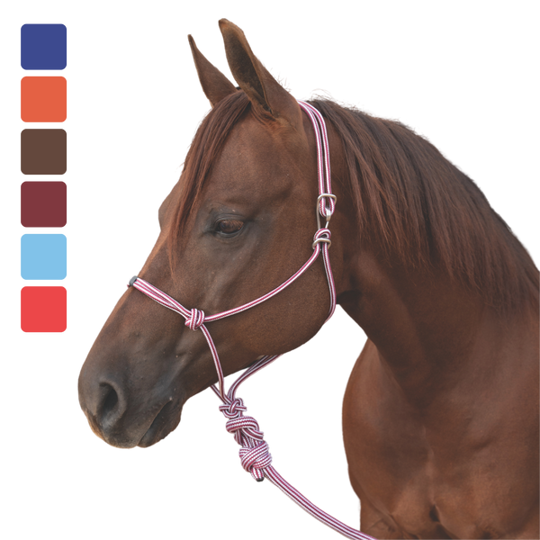 Professional's Choice | Easy-On Rope Halter w/ Lead