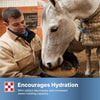 Purina | RepleniMash | 7 lb