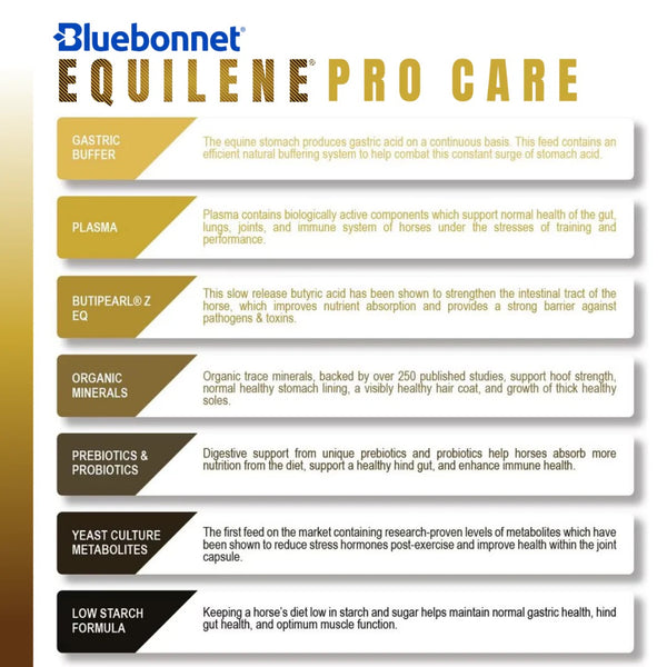 Bluebonnet Feeds | Equilene Pro Care