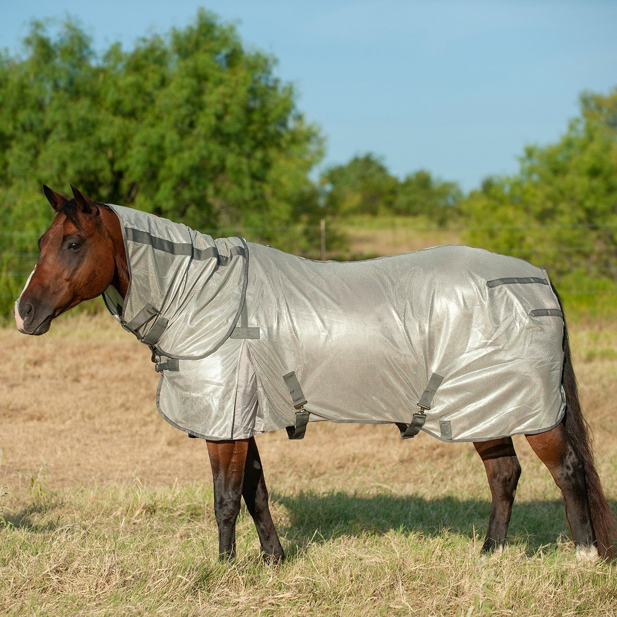 Cashel | Econo Fly Sheet with Neck