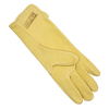 Barstow Deer Skin Glove