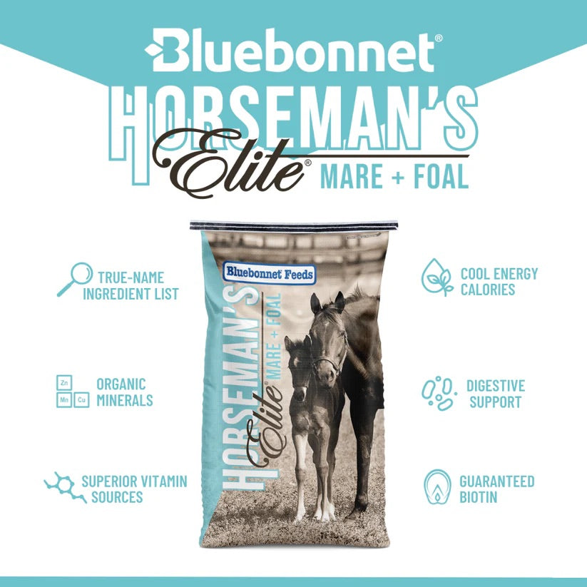 Bluebonnet Feeds | Horseman's Elite Mare & Foal