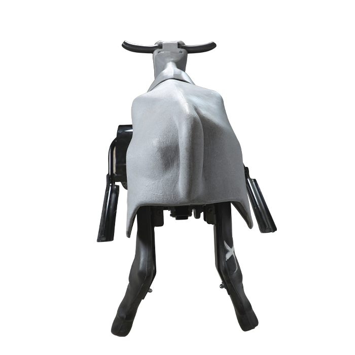 Smarty Rodeo | Trainer