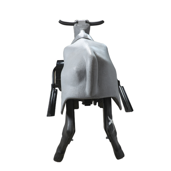 Smarty Rodeo | Trainer