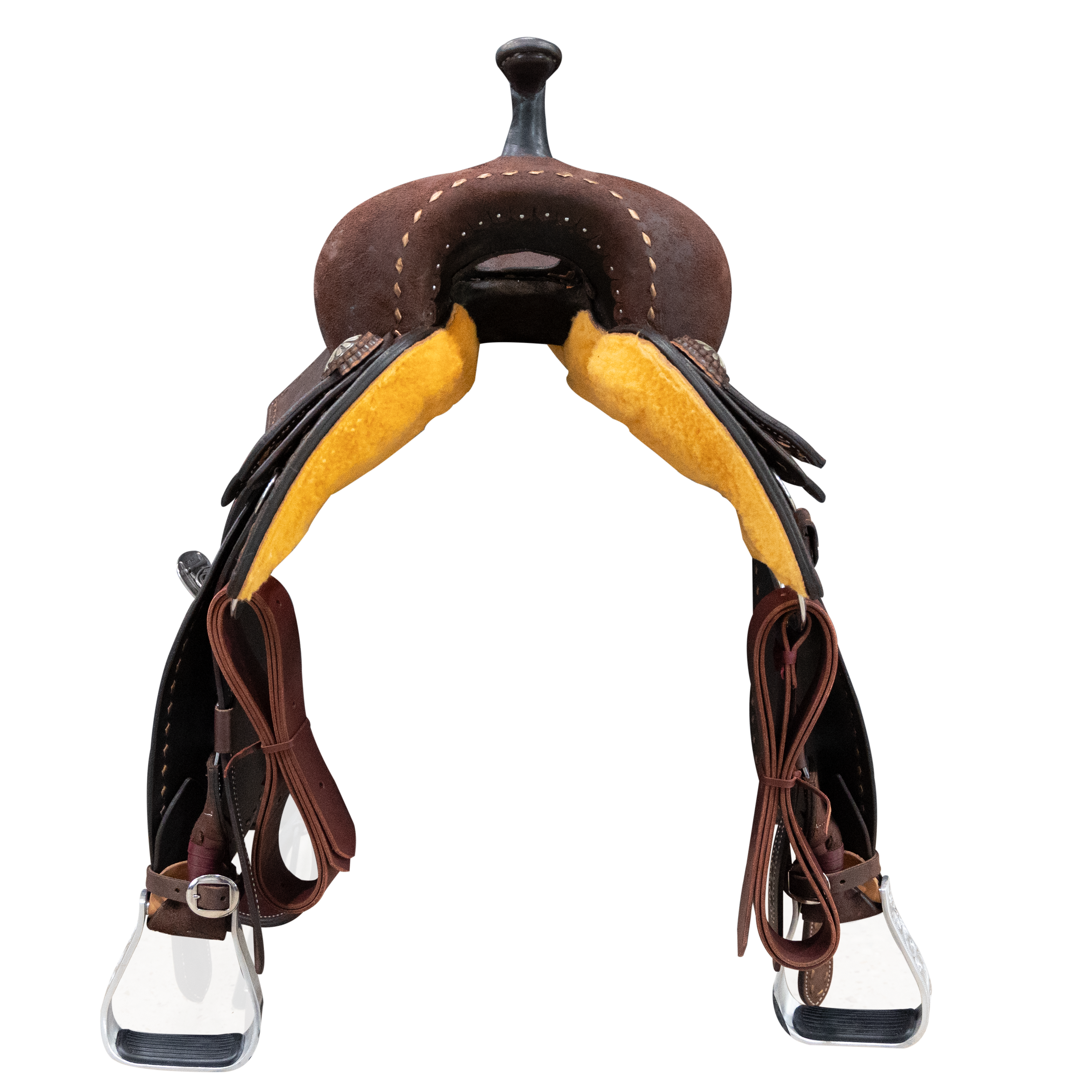 Economy Halter | Yearling